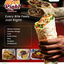 Bite Right loaded shawarma being held